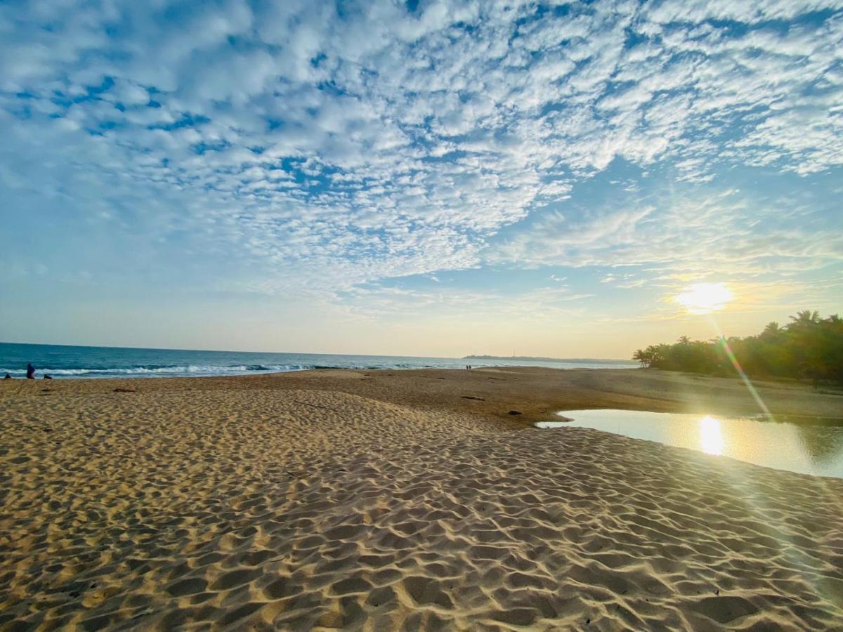 Eco Cabanas Marakolliya Tangalle Exteriör bild