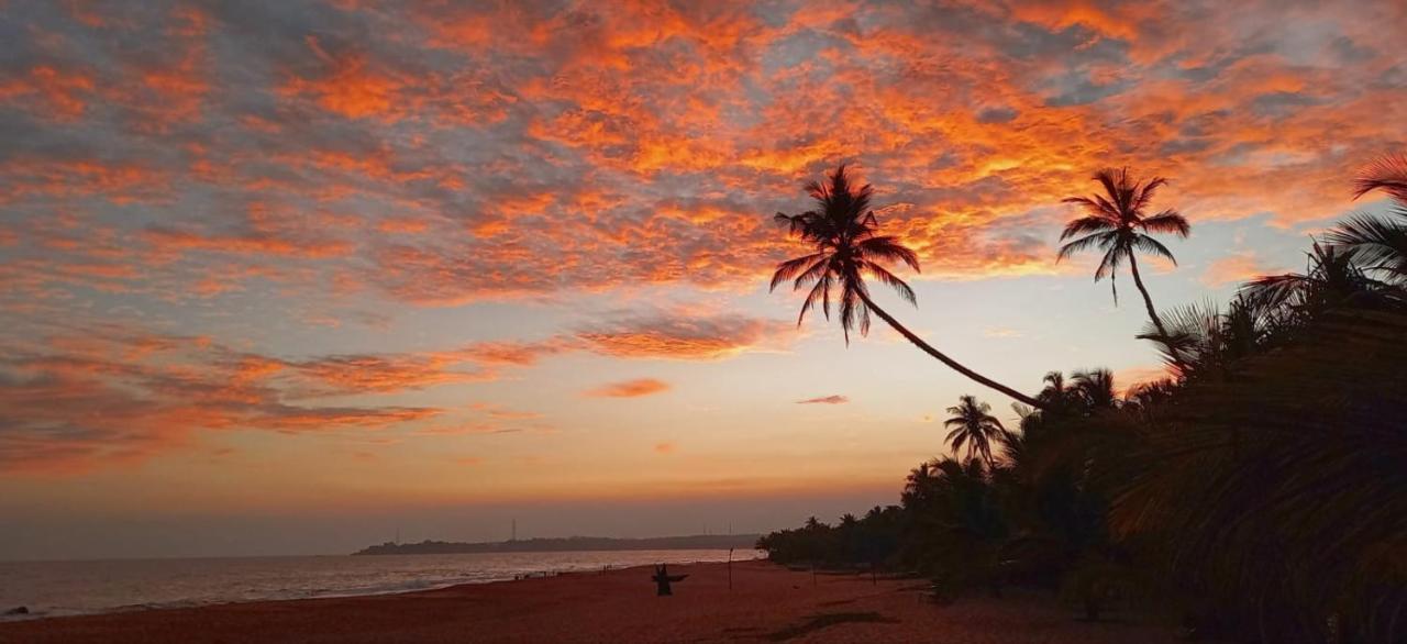 Eco Cabanas Marakolliya Tangalle Exteriör bild