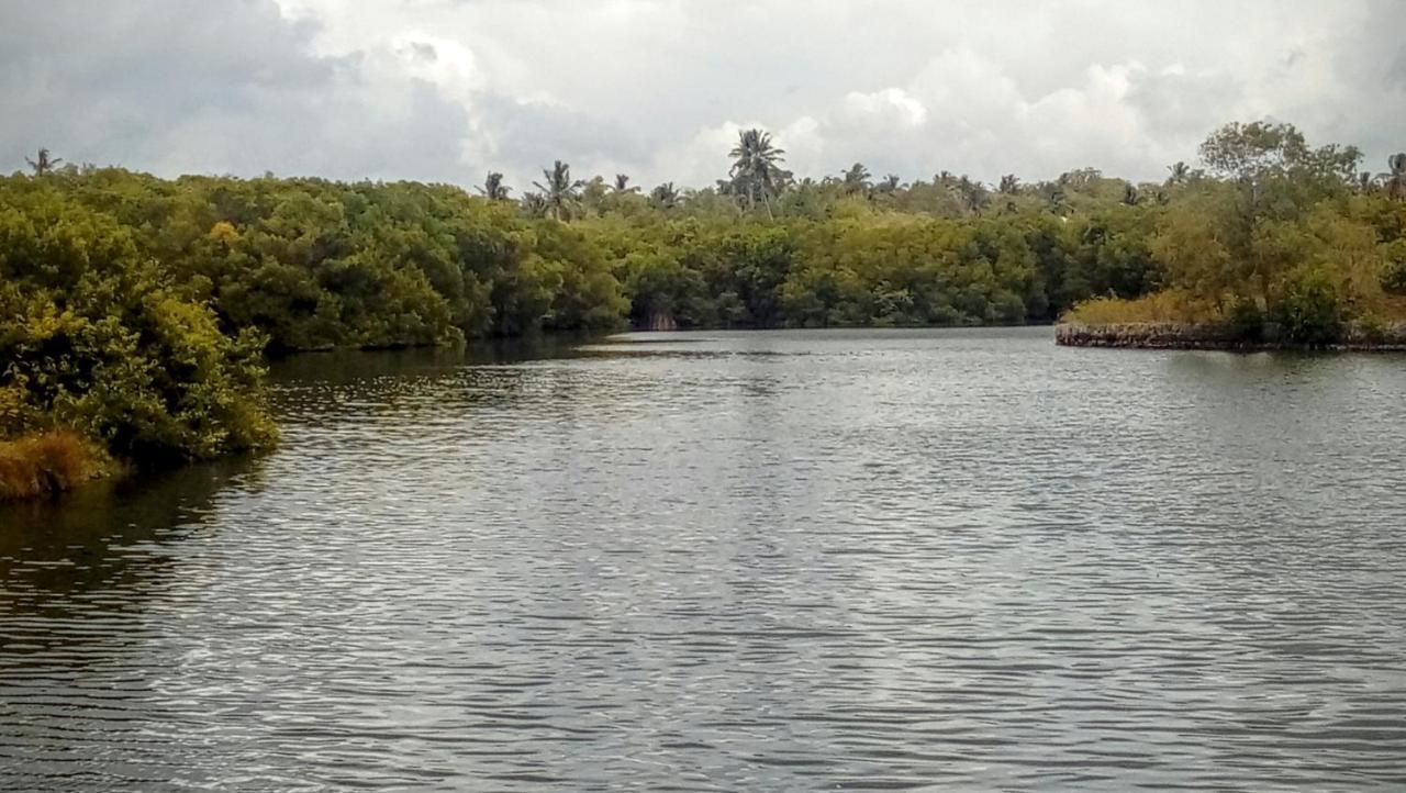 Eco Cabanas Marakolliya Tangalle Exteriör bild