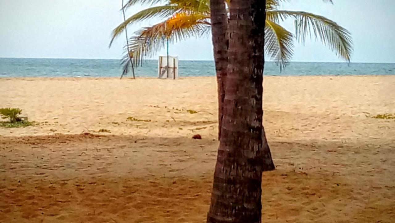 Eco Cabanas Marakolliya Tangalle Exteriör bild